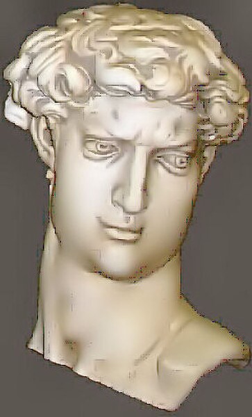 Drawing Cast - Michelangelo David Plaster Wall Hanging Face